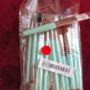A354-NEW 25 Piece Mint Green and Rose Gold Makeup Brush Set